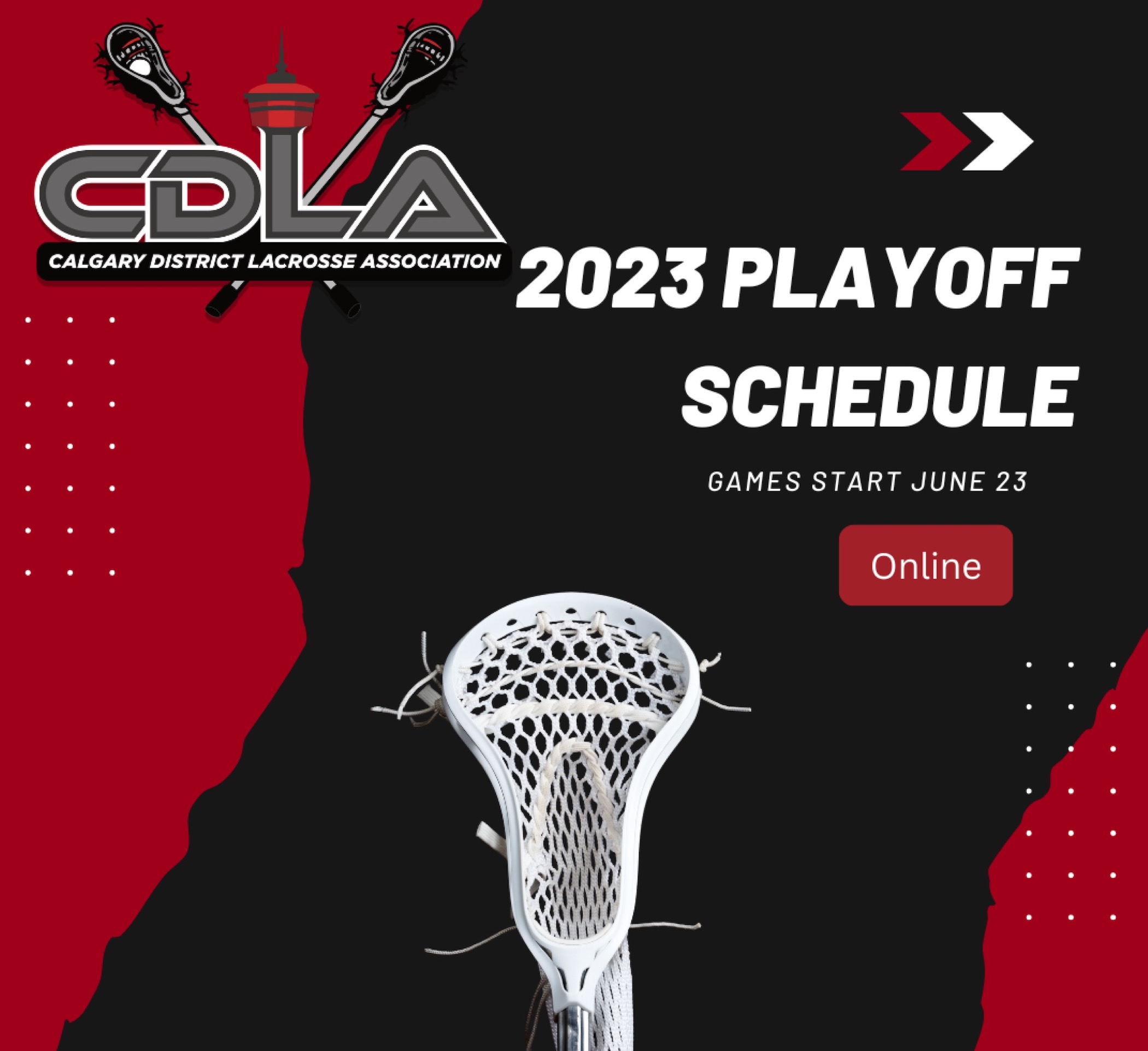 Fury Lacrosse site by RAMP InterActive